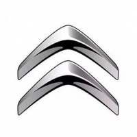 (駕考駕培)新愛(ài)麗舍檔位轉(zhuǎn)向角示寬后霧燈喇叭信息采集